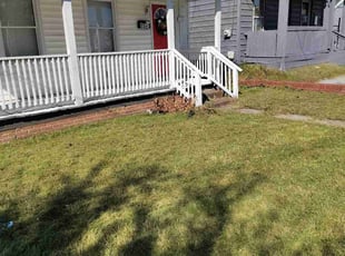 Pablo O.'s lawn service service result