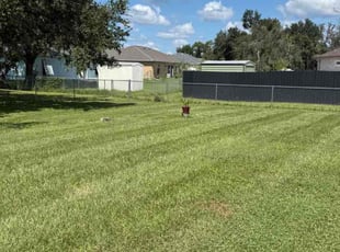 Blake B.'s turf maintenance service result