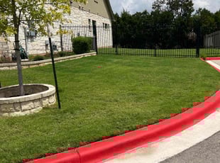 Debra T.'s Long Grass Cleanup service result
