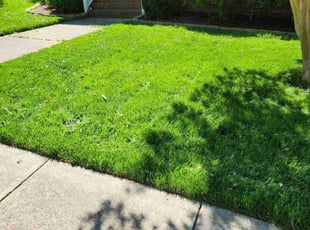 Holly H.'s lawn care services service result