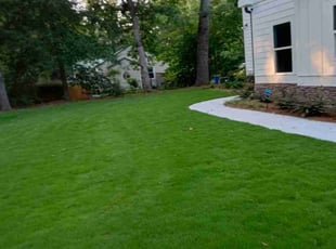 Jeffrey M.'s lawn service service result