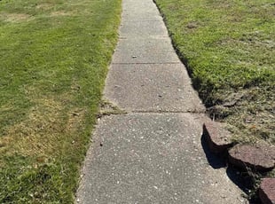 Mark H.'s lawn service service result