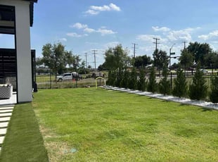 Tammy S.'s turf care service result