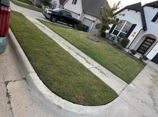 Paula R.'s lawn care service result
