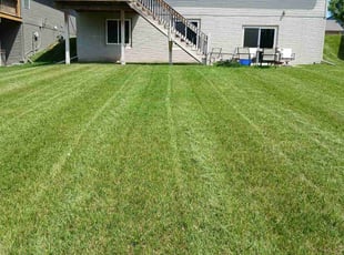 Dominic L.'s turf care service result