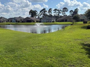 Mary A.'s lawn care services service result