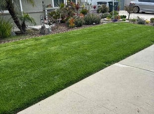 Brenda H.'s grass maintenance service result