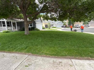 Sandy H.'s lawn care services service result