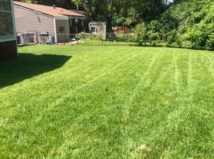 Yvonne S.'s lawn service service result