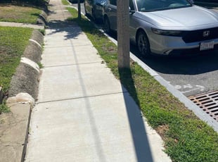 Arlene E.'s grass cutting service result