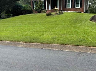 Kathleen W.'s grass maintenance service result