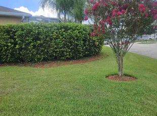 Isaac F.'s grass cutting service result
