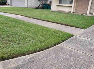 Marcus R.'s lawn maintenance service result