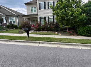 Gerald P.'s turf care service result