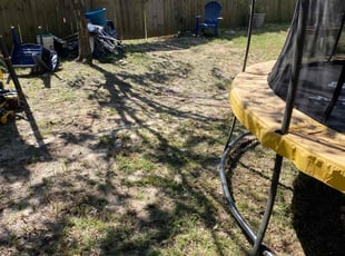 Sandy K.'s grass cutting service result