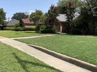 John P.'s grass cutting service result