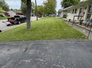 Darius A.'s turf maintenance service result