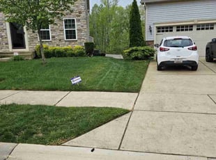 Whitney M.'s lawn service service result