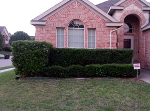Darrin H.'s Bush Trimming service result