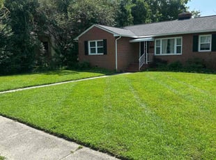 Kingsley P.'s turf maintenance service result