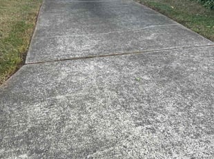 Dane P.'s turf care service result