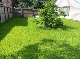 Paul M.'s lawn care service result