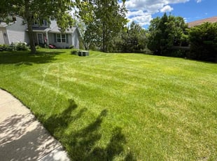 Brett W.'s grass cutting service result