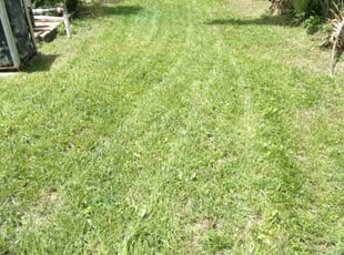 Howard E.'s lawn service service result