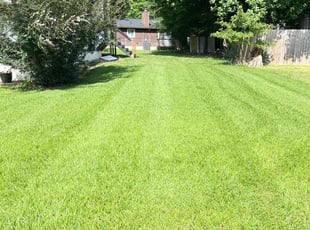Rachel C.'s turf care service result