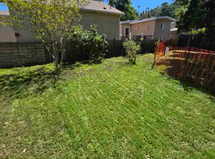 Suzy C.'s lawn service service result