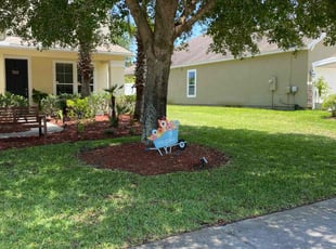Randi G.'s turf care service result