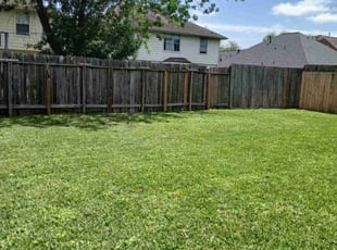 Yvette A.'s lawn service service result