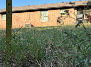 Michael B.'s turf maintenance service result