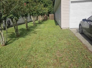 Paula B.'s lawn maintenance service result