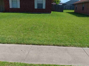 Melissa B.'s lawn care service result