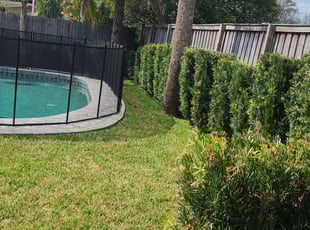 Cherelyn M.'s lawn care services service result