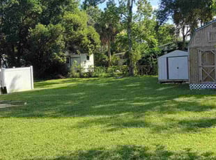 Michael W.'s lawn maintenance service result