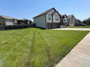 Alyssa B.'s lawn care services service result