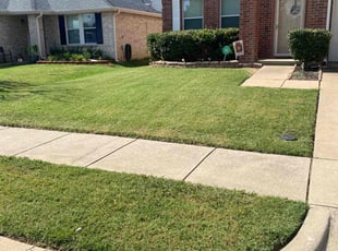 Katelyn G.'s turf care service result