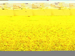 Kelli O.'s lawn service service result