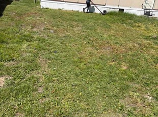Manuel K.'s lawn maintenance service result
