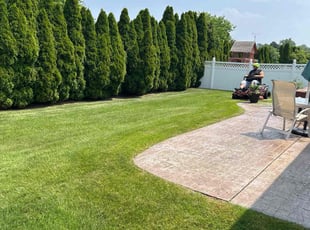 Tamara W.'s turf maintenance service result