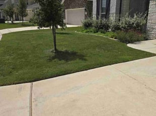 Glenn S.'s grass cutting service result