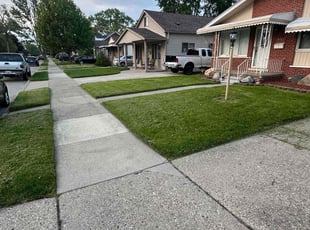 Pamela S.'s turf maintenance service result