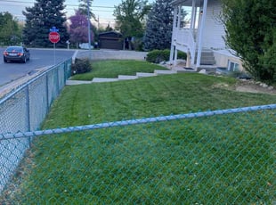 Taiza T.'s grass cutting service result