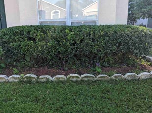 Amanda L.'s Bush Trimming service result