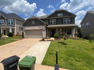 David D.'s turf care service result