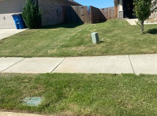 Lisa W.'s lawn care service result