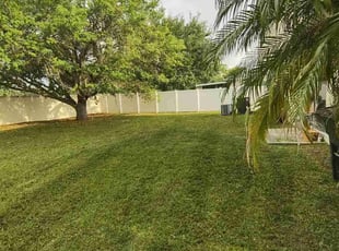 Colleen C.'s grass maintenance service result