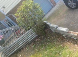 Mikayla S.'s Bush Trimming service result